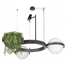 Подвесная люстра loft it jardin 101...